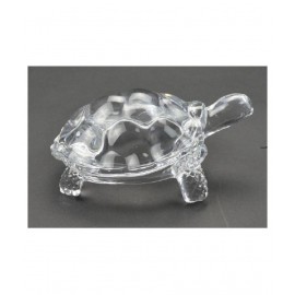 Astrodidi Glass Tortoise