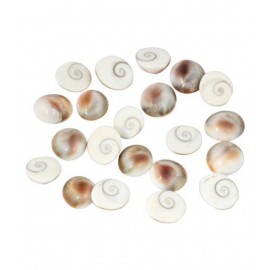 Astrodidi Gomti Chakra / Gomati Chakra (21 Pcs) Small Size