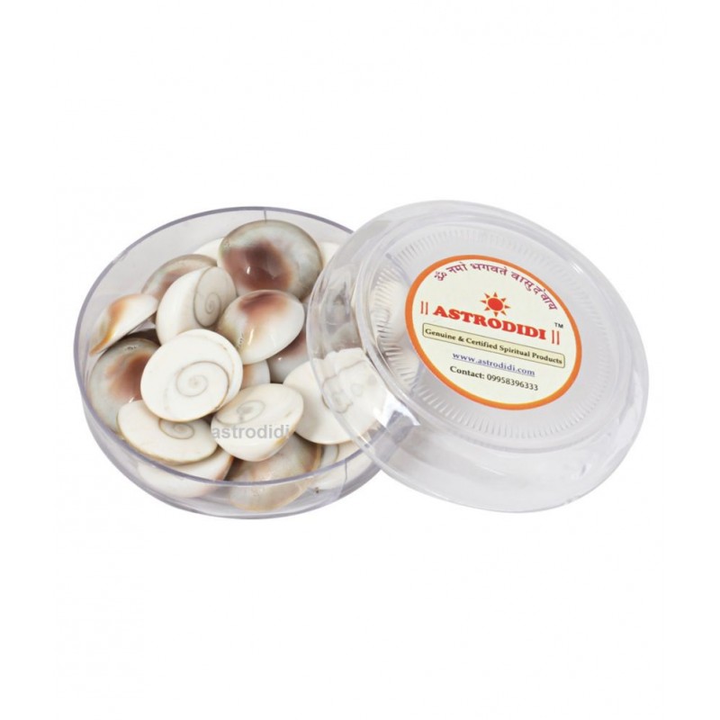 Astrodidi Gomti Chakra (21 Piece) Gomati Small Size