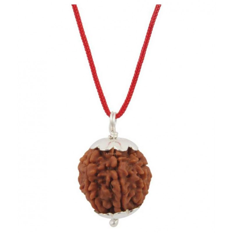 Astrodidi Nepali 7 Face Rudraksha | Seven Face Rudraksha With Lab Certificate