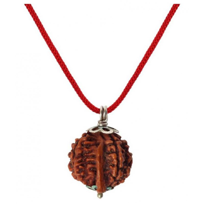 Astrodidi Nepali Ganesh Rudraksha / Ganesha Rudraksha Pendant with Lab Certificate