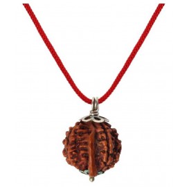 Astrodidi Nepali Ganesh Rudraksha / Ganesha Rudraksha Silver Pendant with Lab Certificate Astrodidi Nepali Ganesh Rudraksha / Ganesha Rudraksha Silver Pendant with Lab Certificate