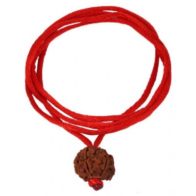 Astrodidi Nepali Ganesh Rudraksha / Ganesha Rudraksha with Lab Certificate