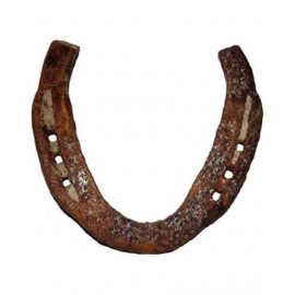 Astrodidi Original Black Horse Shoe / Kale Ghode Ki Naal Decorative Showpiece  -  9 cm (Iron, Brown) Astrodidi Original Black Horse Shoe / Kale Ghode Ki Naal Decorative Showpiece  -  9 cm (Iron, Brown)