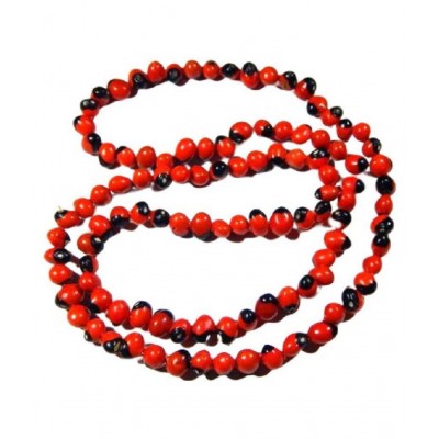 Astrodidi Red Gunja Seeds / Laal Chirmi Beej Mala