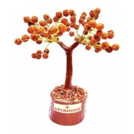 Astrodidi Rudraksha Tree for Vastu and Home Decorative Showpiece Astrodidi Rudraksha Tree for Vastu and Home Decorative Showpiece