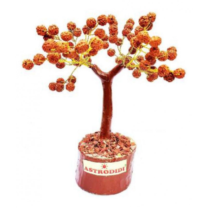 Astrodidi Rudraksha Tree for Vastu and Home Decorative Showpiece