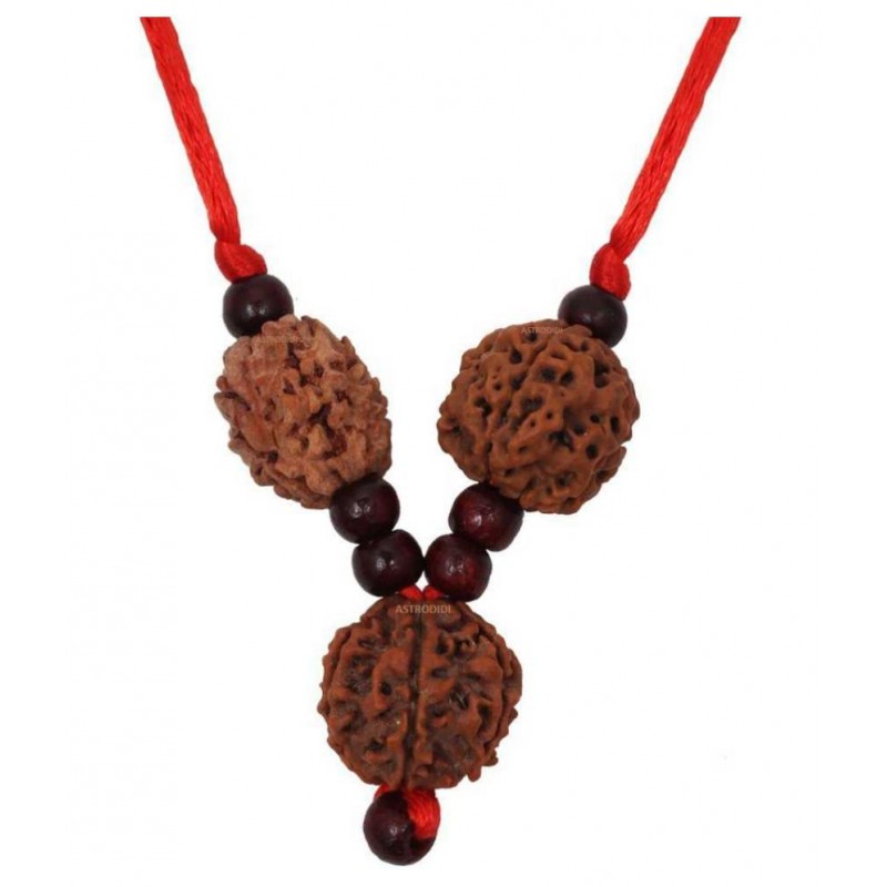 Astrodidi Saraswati Kawach / Saraswati Pendant for Students I Combination of 3,4 & 6 Mukhi 100% Original Rudraksha Beads