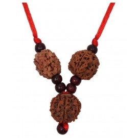 Astrodidi Saraswati Kawach / Saraswati Pendant for Students I Combination of 3,4 & 6 Mukhi Rudraksha Beads Locket Astrodidi Saraswati Kawach / Saraswati Pendant for Students I Combination of 3,4 & 6 Mukhi Rudraksha Beads Locket