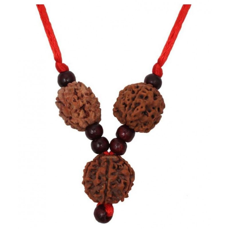 Astrodidi Saraswati Kawach / Saraswati Pendant for Students I Combination of 3,4 & 6 Mukhi Rudraksha Beads Locket
