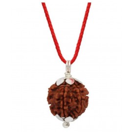 Astrodidi Seven Face Rudraksha/ 7 Mukhi Rudraksha / 7 Face Rudraksha Pendant With Lab Certificate Astrodidi Seven Face Rudraksha/ 7 Mukhi Rudraksha / 7 Face Rudraksha Pendant With Lab Certificate