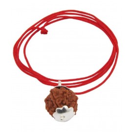 Astrodidi Six Face Rudraksha/ 6 Mukhi Rudraksha / 6 Face Rudraksha Silver Pendant With Lab Certificate Astrodidi Six Face Rudraksha/ 6 Mukhi Rudraksha / 6 Face Rudraksha Silver Pendant With Lab Certificate