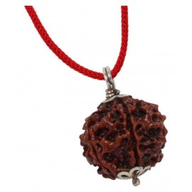 Astrodidi Six Face Rudraksha/ 6 Mukhi Rudraksha / 6 Face Rudraksha Silver Pendant With Lab Certificate Astrodidi Six Face Rudraksha/ 6 Mukhi Rudraksha / 6 Face Rudraksha Silver Pendant With Lab Certificate