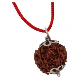 Astrodidi Six Face Rudraksha/ 6 Mukhi Rudraksha / 6 Face Rudraksha Silver Pendant With Lab Certificate Astrodidi Six Face Rudraksha/ 6 Mukhi Rudraksha / 6 Face Rudraksha Silver Pendant With Lab Certificate