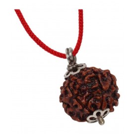 Astrodidi Six Face Rudraksha/ 6 Mukhi Rudraksha / 6 Face Rudraksha Silver Pendant With Lab Certificate Astrodidi Six Face Rudraksha/ 6 Mukhi Rudraksha / 6 Face Rudraksha Silver Pendant With Lab Certificate