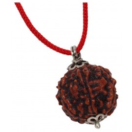 Astrodidi Six Face Rudraksha/ 6 Mukhi Rudraksha / 6 Face Rudraksha Silver Pendant With Lab Certificate Astrodidi Six Face Rudraksha/ 6 Mukhi Rudraksha / 6 Face Rudraksha Silver Pendant With Lab Certificate