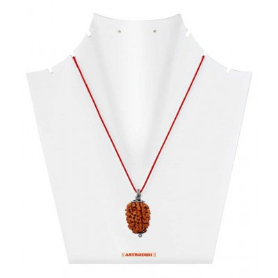 Astrodidi Three Face / 3 Mukhi Lab Certified Rudraksha Pendant