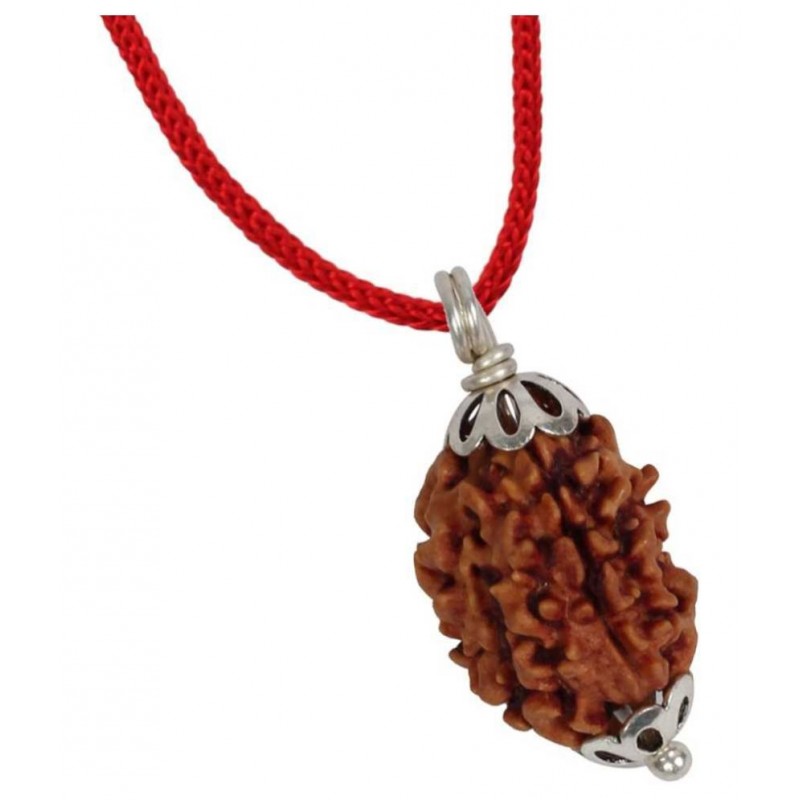 Astrodidi Three Face / 3 Mukhi Lab Certified Rudraksha Pendant