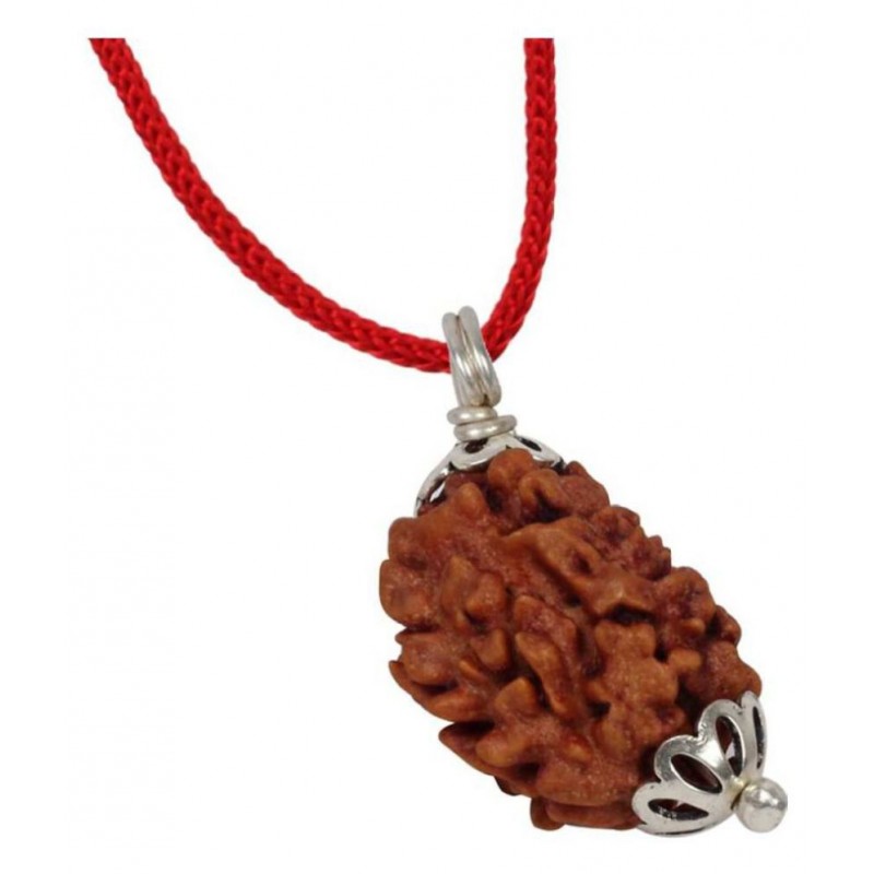 Astrodidi Three Face / 3 Mukhi Rudraksha (Lab Certified) Pendant