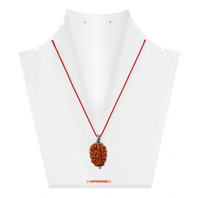 Astrodidi Three Face (3 Mukhi) Rudraksha Pendant with Lab Certificate