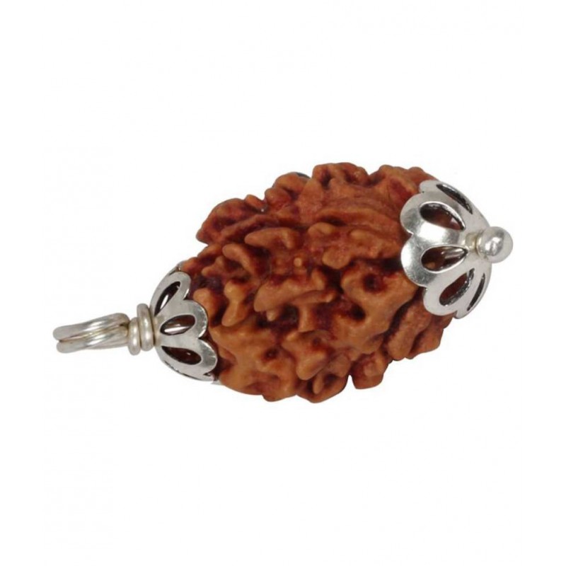 Astrodidi Three Face (3 Mukhi) Rudraksha Pendant with Lab Certificate