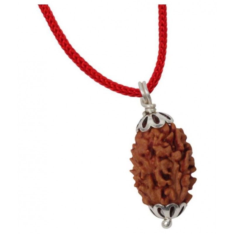 Astrodidi Three Face/ Mukhi Rudraksha Pendant with Lab Certificate