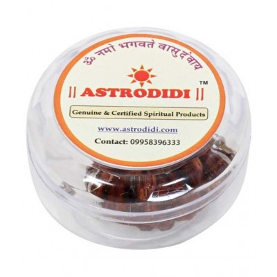 Astrodidi Two Face / Mukhi Rudraksha Pendant