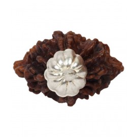 Astrodidi Two Face / Mukhi Rudraksha Pendant Astrodidi Two Face / Mukhi Rudraksha Pendant