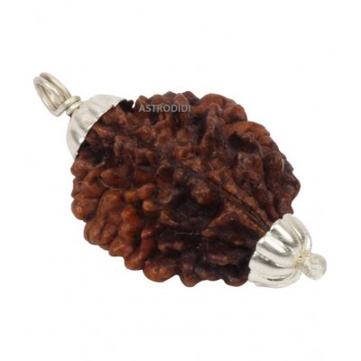 Astrodidi /Two Mukhi (2 Face) Rudraksha Pendant Wth Lab Certificate