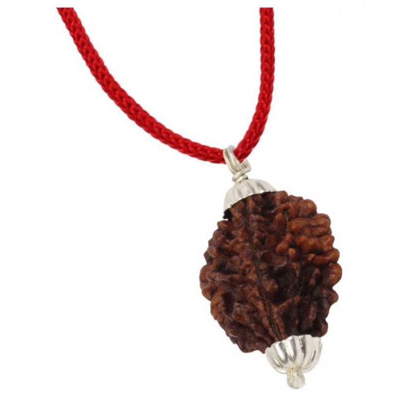 Astrodidi /Two Mukhi (2 Face) Rudraksha Pendant Wth Lab Certificate
