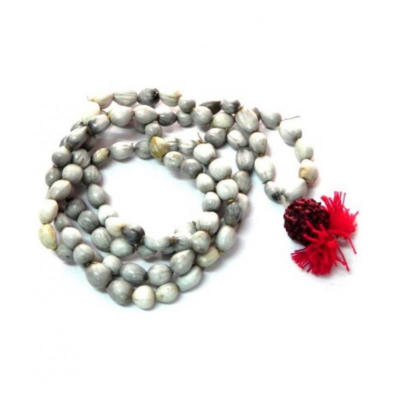 Astrodidi Vaijanti / Vaijayanti Mala