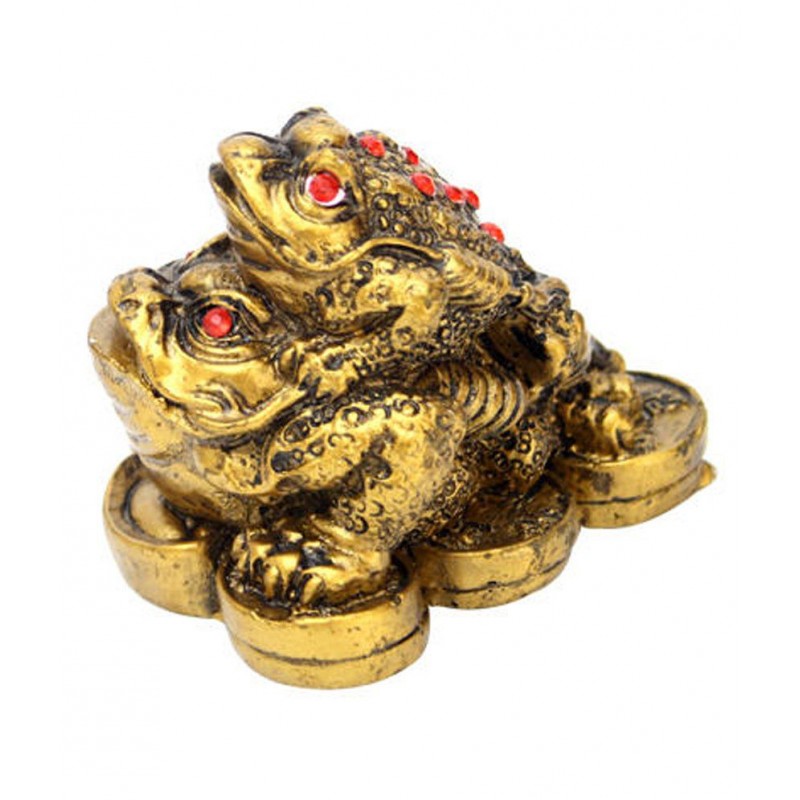 Astrogallery Fengshui Double Money Frog Astrogallery Fengshui Double Money Frog