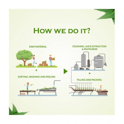 Axiom Kasni Juice 500ml (Pack of 2)|100% Natural WHO-GLP,GMP,ISO Certified Product Axiom Kasni Juice 500ml (Pack of 2)|100% Natural WHO-GLP,GMP,ISO Certified Product