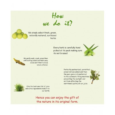 Axiom Aloevera Amla Juice 500ml (Pack of 2) Axiom Aloevera Amla Juice 500ml (Pack of 2)