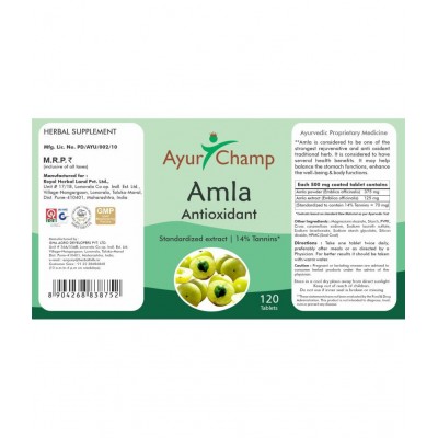 Ayur Champ Amla Tablet 120 no.s Pack Of 1