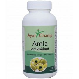 Ayur Champ Amla Tablet 120 no.s Pack Of 1