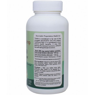 Ayur Champ Amla Tablet 120 no.s Pack Of 1