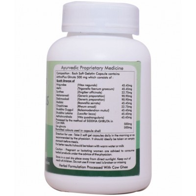 Ayur Champ Arthro Plus Capsule 30 no.s Pack Of 1