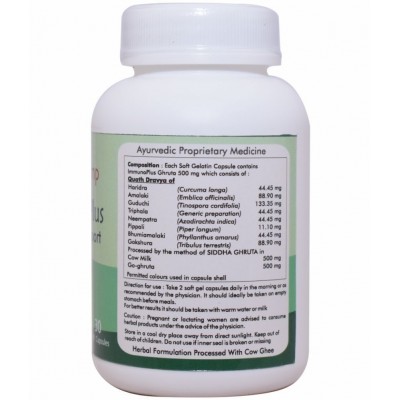 Ayur Champ Immuno Plus Capsule 30 no.s Pack Of 1