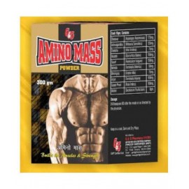 Ayurveda Cure Amino Mass (G&G) 300 gm Mass Gainer Powder
