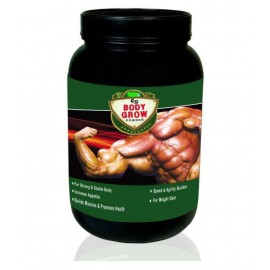 Ayurveda Cure Body Grow 500 gm Unflavoured