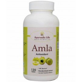 Ayurvedic Life Amla Tablet 120 no.s Pack Of 1