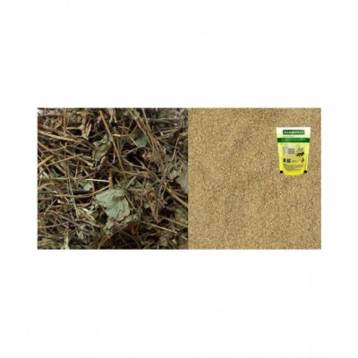Azamdeal Brahmi Powder Pack of 2 (50g X2) 100 gm