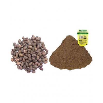 Azamdeal Jamun Guthli Powder Pack of 2 (50g X2) 100 gm