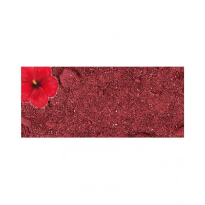 Azamdeal Jaswand Powder Pack of 2 (50g X2) 100 gm