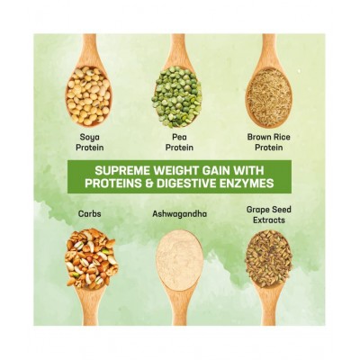 Azani Active Nutrition Plant Based 1 kg Mass Gainer Powder