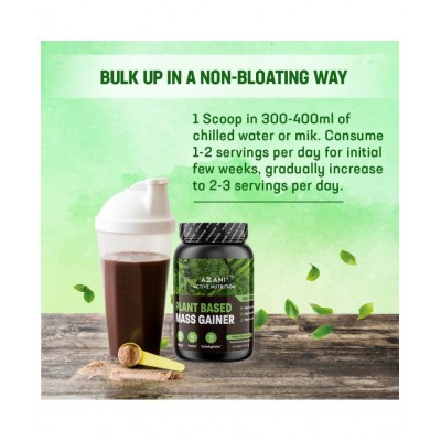 Azani Active Nutrition Plant Based 1 kg Mass Gainer Powder