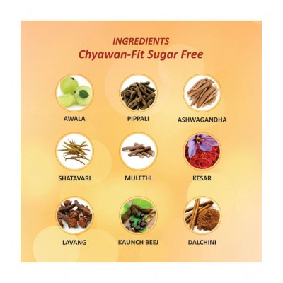 Baidyanath Chyawanparash Sugarfree Paste 1 kg Pack Of 2