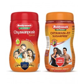 Baidyanath Chyawanprash Special  Paste 2 kg Pack Of 2