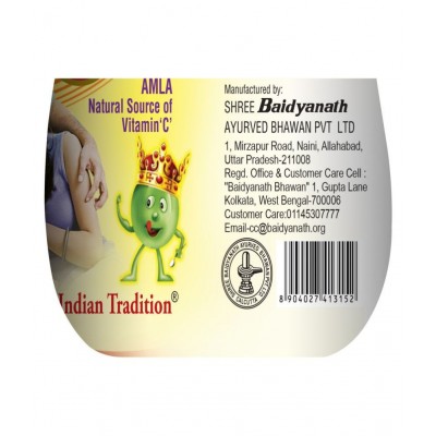 Baidyanath Chyawanprash Special 500gm with 75gm Paste 1 gm